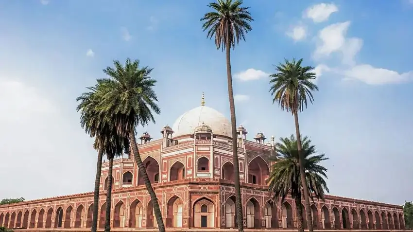 Best India Tour Options for Travelers