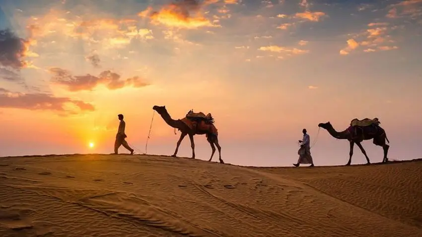 How to Identify Genuine Rajasthan Tour Companies Online