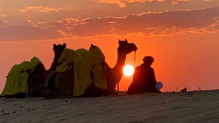 Private Guided Rajasthan Tour India – History, Culture & Local Insight