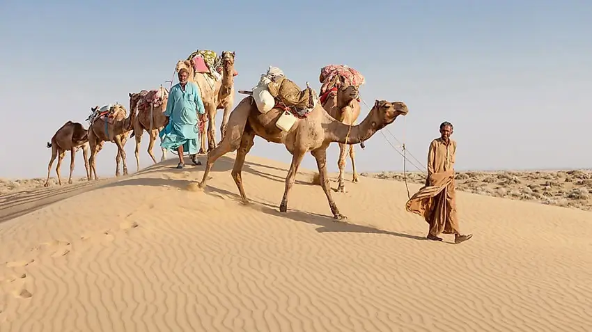 Rajasthan 14 Days Itinerary – Complete Forts, Desert & Wildlife Circuit Guide