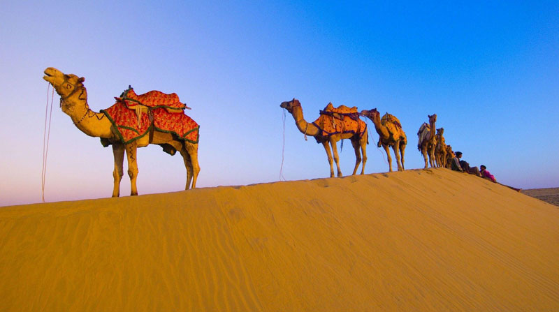 rajasthan-tour-package