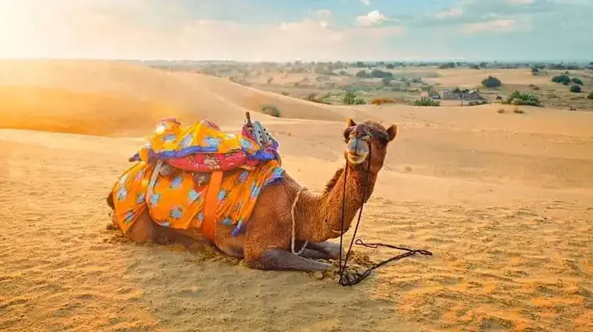 Top Desert Camping Experiences in Jaisalmer & Jodhpur – Complete Guide