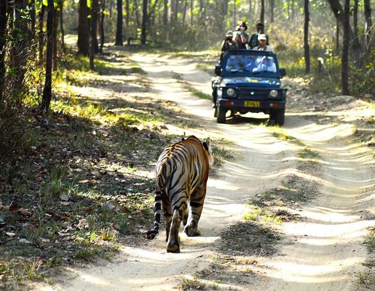 Kanha National Park