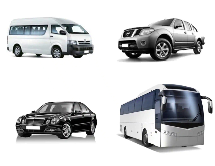 Car & Coach Rental