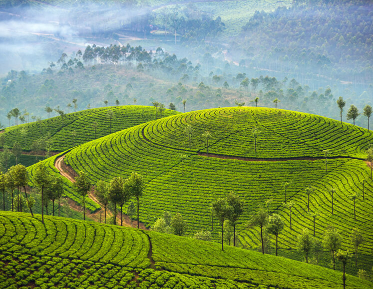 Kerala Magic