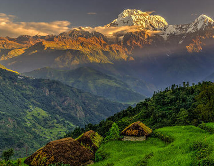 Nepal Himalayas & Wildlife Tour