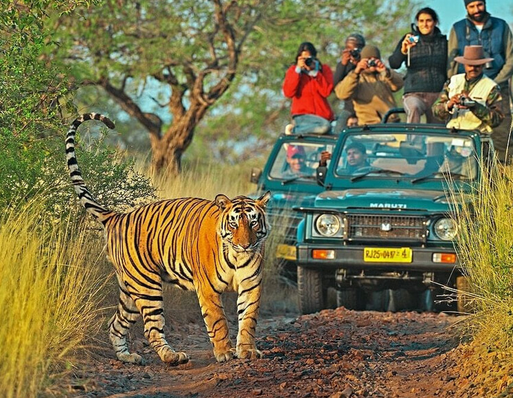 Golden Triangle Tour with Ranthambore (The Taj & Tiger Tour)