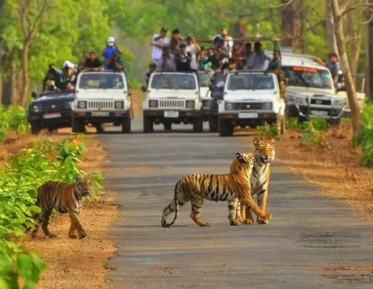 Golden Triangle Tour with Bharatpur & Sariska