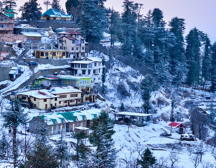 Golden Triangle Tour with Shimla & Manali