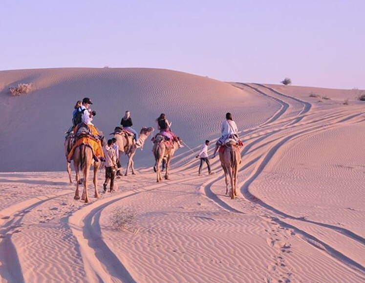 Desert Safari Tour Package