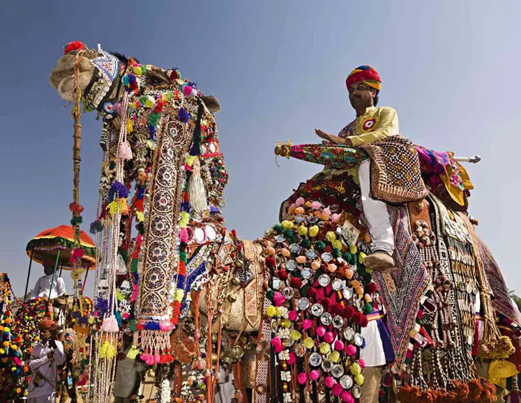 Golden Triangle with Pushkar Camel Fair Special
