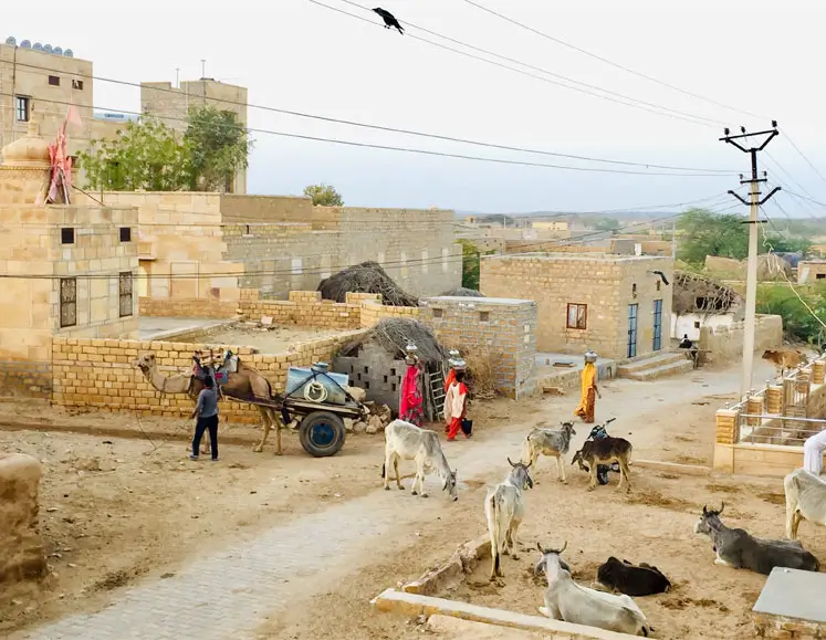 Golden Triangle with Village Experience