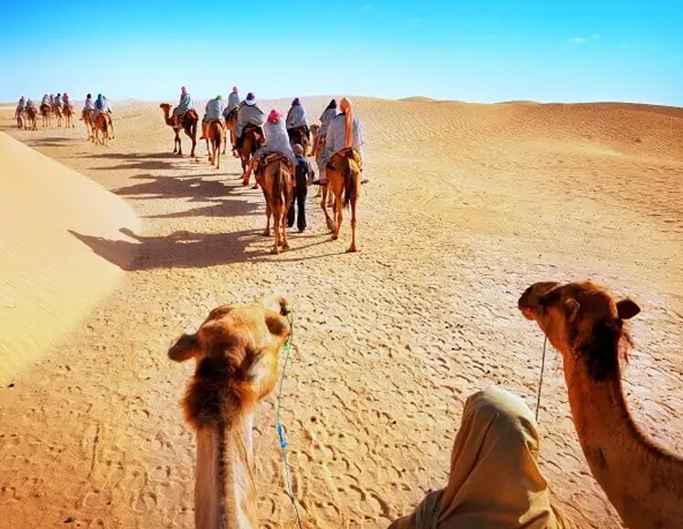 Royal Rajasthan Tour