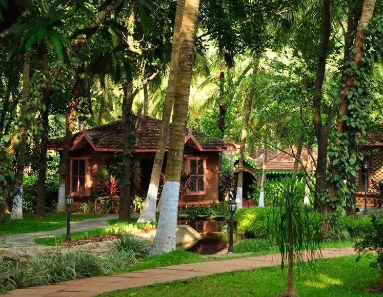 Kerala Ayurveda Wellness & Detox Retreat