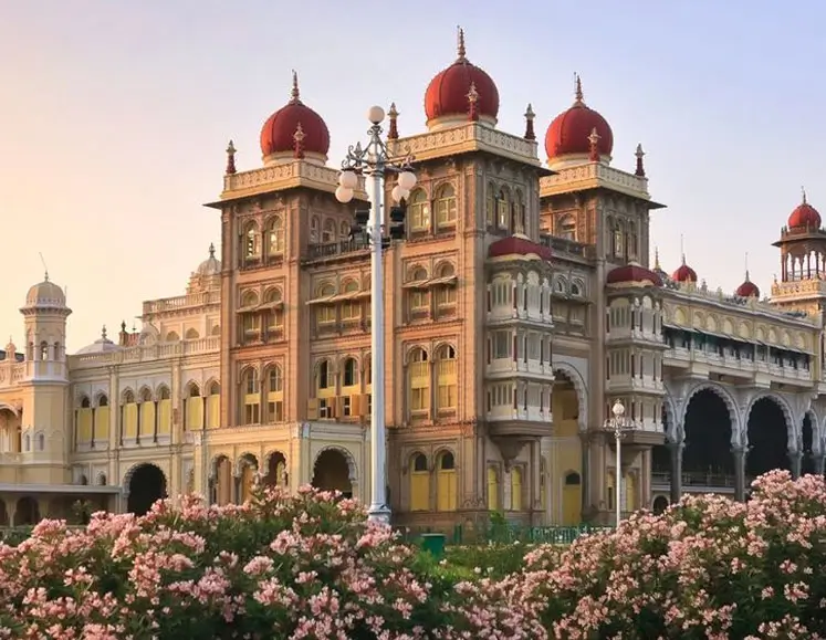 LGBTQ South India Cultural Experience