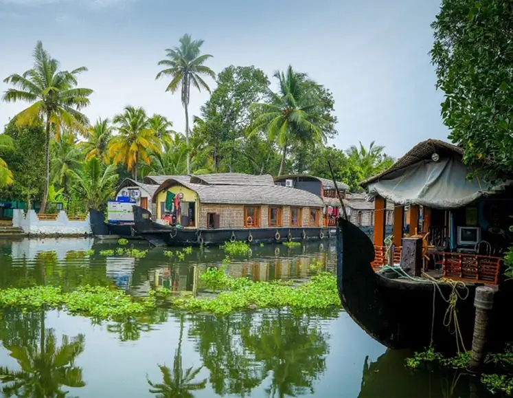 South India Coastal & Backwater Journey