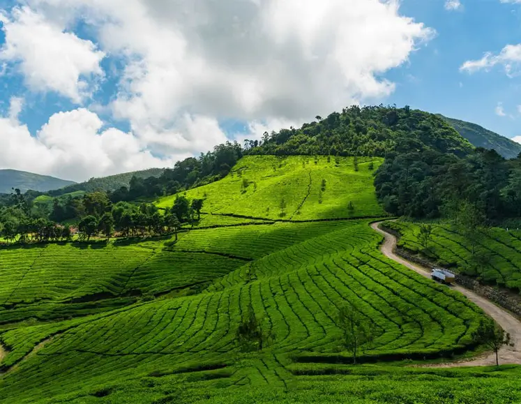 South India Gay Honeymoon Tour