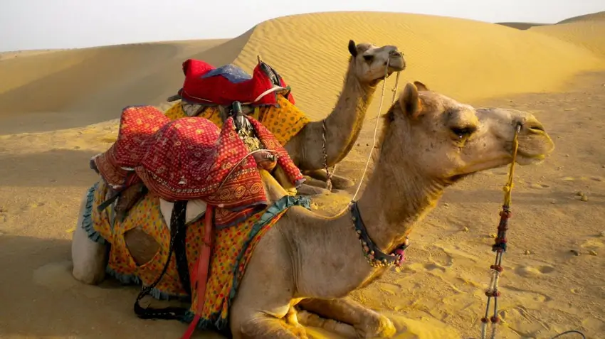 Jaisalmer-The-Golden-City-of-the-Thar-Desert