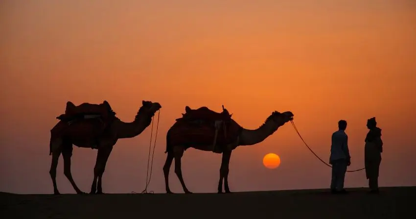 Desert Camps and Camel Rides