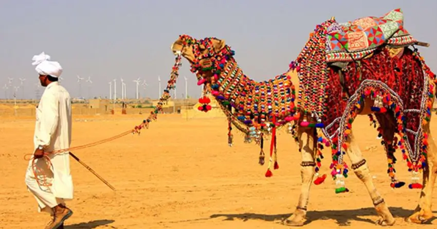 The Bikaner Camel Festival